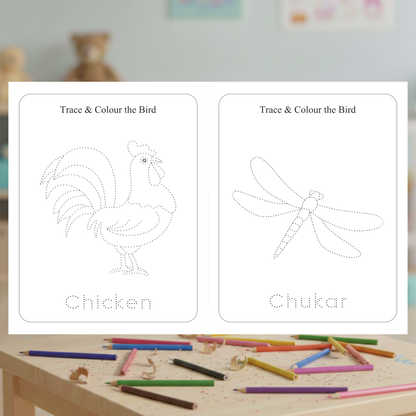 MY FIRST BIRD TRACING BOOK