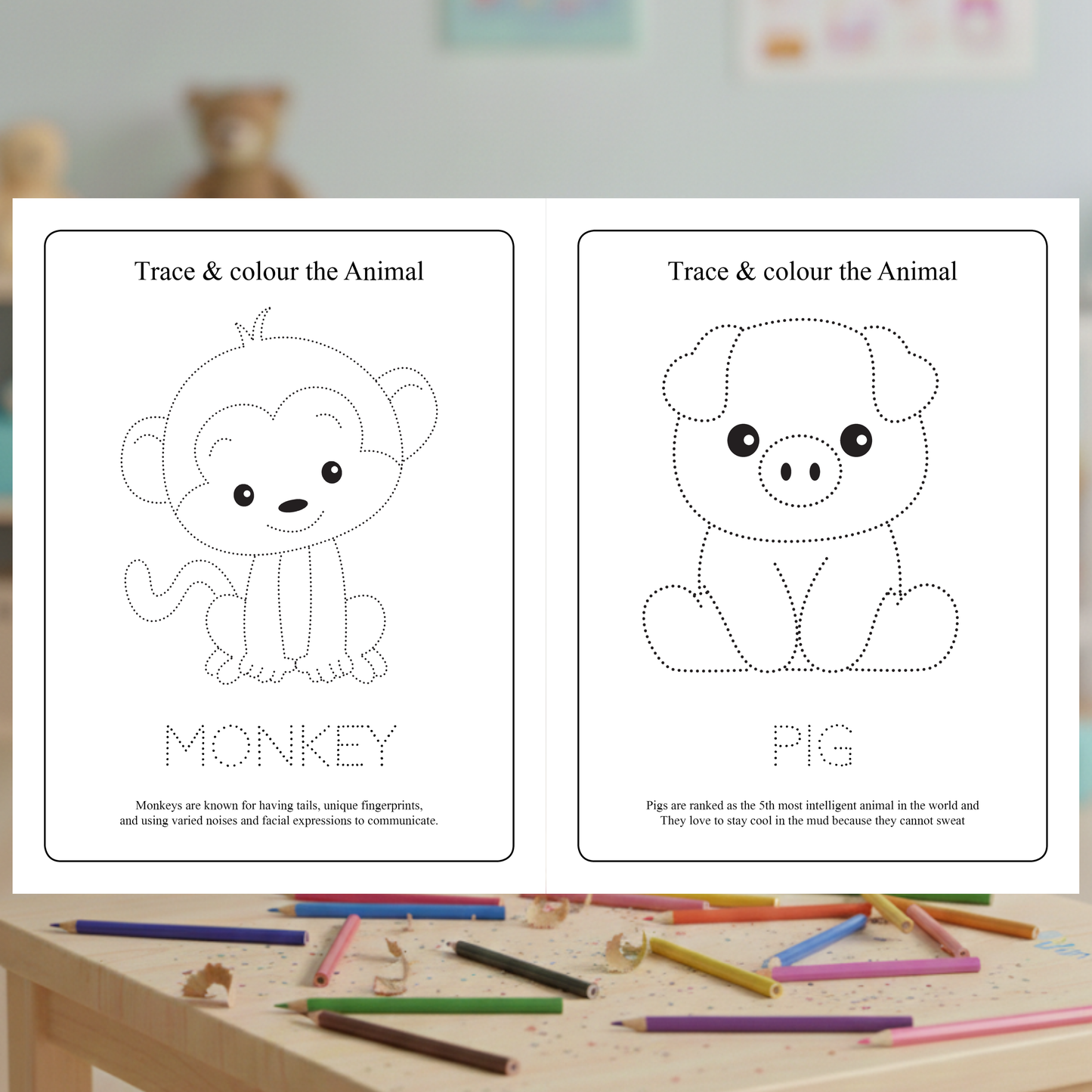 MY FIRST ANIMAL TRACING BOOK