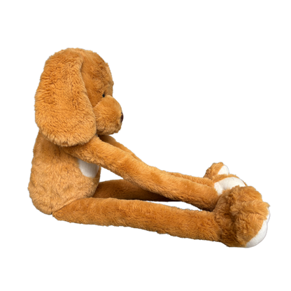 BROWN LONG LEG DOG - 62 CMS